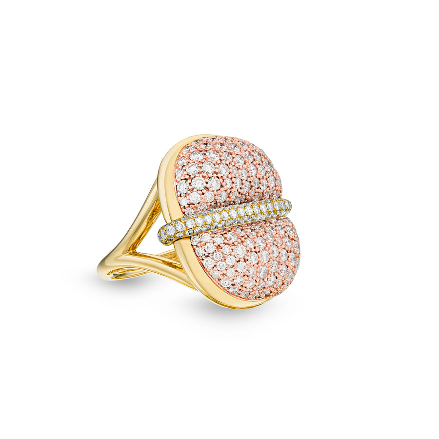 Amrita Round Ring in Full Diamonds